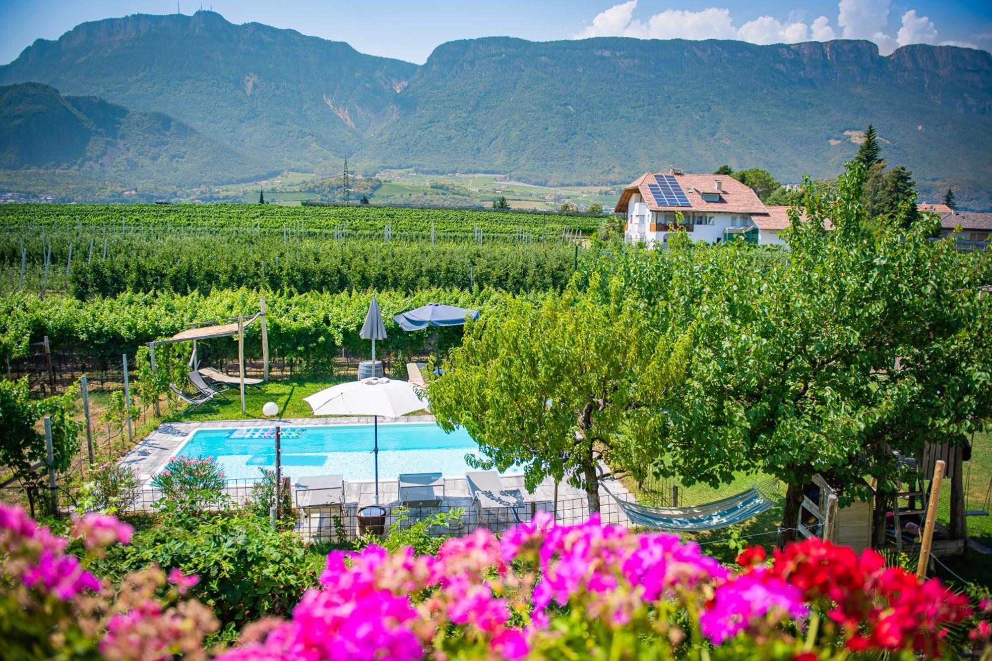 Apartmán Lochererhof Appiano Sulla Strada Del Vino Exteriér fotografie