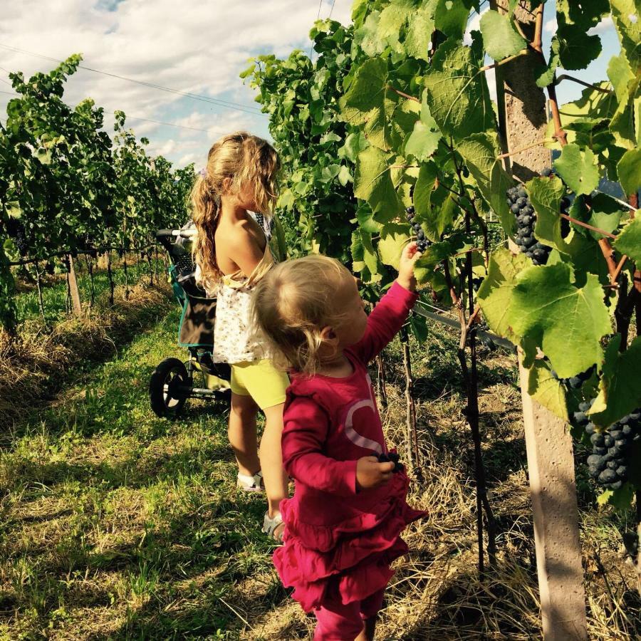 Apartmán Lochererhof Appiano Sulla Strada Del Vino Exteriér fotografie