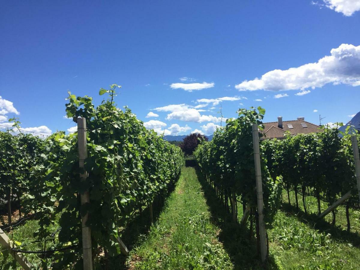 Apartmán Lochererhof Appiano Sulla Strada Del Vino Exteriér fotografie