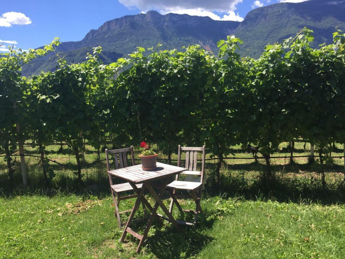 Apartmán Lochererhof Appiano Sulla Strada Del Vino Exteriér fotografie