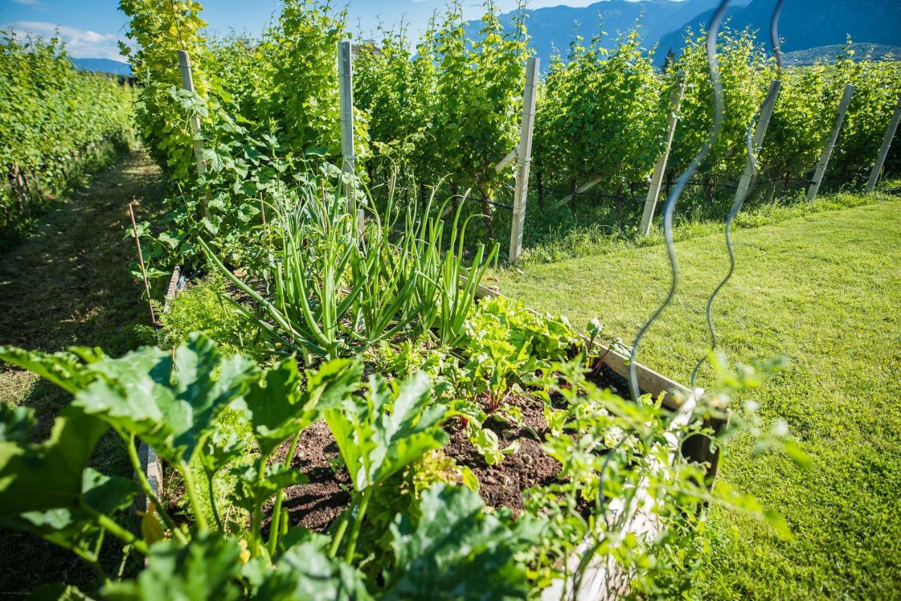 Apartmán Lochererhof Appiano Sulla Strada Del Vino Exteriér fotografie